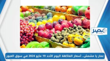عمار يا مشمش.. أسعار الفاكهة اليوم الأحد 19 مايو 2024 في سوق العبور
