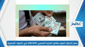 الأخضر بكام؟.. سعر الدولار اليوم مقابل الجنيه المصري USD/EGP في البنوك المصرية