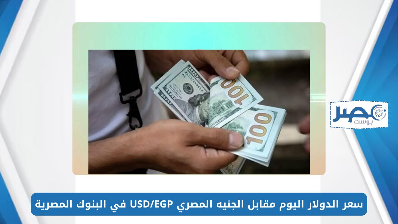 الأخضر بكام؟.. سعر الدولار اليوم مقابل الجنيه المصري USD/EGP في البنوك المصرية