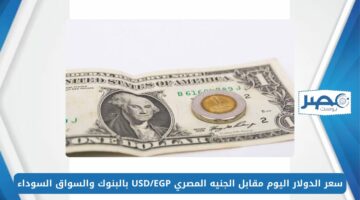 الأخضر بكام؟.. سعر الدولار اليوم مقابل الجنيه المصري USD/EGP بالبنوك والسواق السوداء