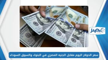 سعر الدولار اليوم مقابل الجنيه المصري 5-5-2024 في البنوك والسوق السوداء