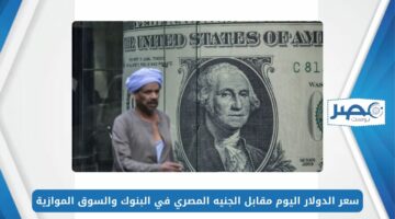سعر الدولار اليوم مقابل الجنيه المصري USD/EGP في البنوك والسوق الموازية
