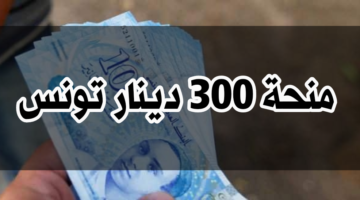 300 دينار تونسي.. رابط التسجيل في منحة العاطلين والمتعثرين في تونس 2024 والشروط المطلوبة