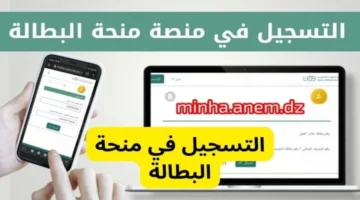 مستني إيه جدد وخذ المنحة.. موقع تجديد منحة البطالة 2024 شروط التسجيل في المنحة 2024م