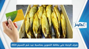 أرخص من سعر السوق.. صرف الرنجة على بطاقة التموين بمناسبة عيد شم النسيم 2024