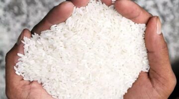 انخفاض سعر الأرز في الأسواق للتجار والمستهلكين 2024 بعد إجراءات الحكومة لضبط الأسعار