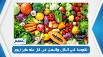 بعد الزيادة الأخيرة.. أسعار الخضروات والفاكهة اليوم الأربعاء 8 مايو في سوق الجملة