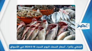 البلطي بكام؟.. أسعار السمك اليوم السبت 18-5-2024 في الأسواق
