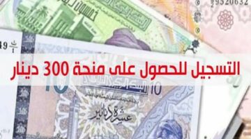 بالخطوات… طريقة التسجيل في منحة 300 دينار تونس 2024 وزارة الشؤون وأهم الشروط الواجب مراعاتها