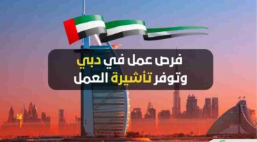 طريقة التقديم على طلب تأشيرة العمل في الإمارات 2024 وسعر فيزا العمل الإماراتية
