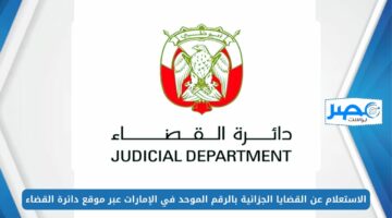 الاستعلام عن القضايا الجزائية بالرقم الموحد في الإمارات 2024 عبر موقع دائرة القضاء