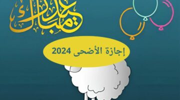 15 يوم عطلة في شهر.. موعد إجازة عيد الأضحى 2024 في السعودية ومصر خلال يونيو
