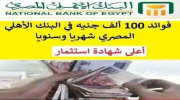 فوائد كبيرة جيالك.. تفاصيل شهادة البنك الأهلي المصري تعرف على فوائد مبلغ 100 الف في البنك