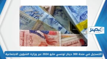 التسجيل في منحة 300 دينار تونسي مايو 2024 عبر وزارة الشؤون الاجتماعية social.gov.tn