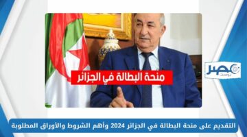رابط مباشر.. التقديم على منحة البطالة في الجزائر 2024 وأهم الشروط والأوراق المطلوبة
