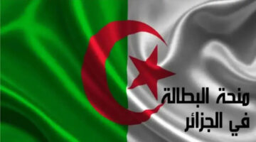 ‘‘استعلم حالاً’’  الاستعلام عن وضعية منحة البطالة في الجزائر 2024 عبر رابط وكالة التشغيل الوطنية