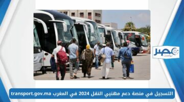 منحة الدعم المهني.. التسجيل في منصة دعم مهني النقل 2024 في المغرب transport.gov.ma