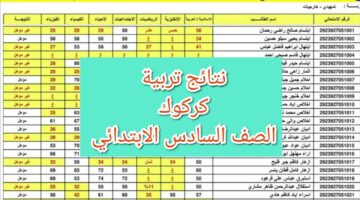 فرحه النجاح.. الاستعلام عن نتائج الصف السادس الابتدائي العراق محافظة كركوك الدور الأول 2024