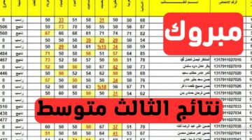 لينك فعال.. نتيجة الصف الثالث المتوسط بالعراق محافظة البصرة الدور الأول 2024 بالرقم الأمتحاني