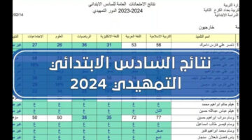 جوجل دراديف NOW.. استعلام عن نتائج السادس الابتدائي 2024 البصرة والرصافة 2 عبر موقع وزارة التربية العراقية