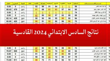 “ظهرت” نتائج السادس الابتدائي 2024 محافظة القادسية عبر موقع وزارة التربية نتائجنا