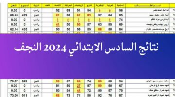 “ظهرت” نتائج السادس الابتدائي 2024 محافظة النجف الاشرف عبر موقع نتائجنا Results mlazemna