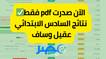 لينك aqeel wassaf “صدرت” نتائج السادس الابتدائي 2024 عقيل وساف جميع المحافظات pdf