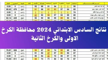 استعلام .. نتائج السادس الابتدائي 2024 محافظة الكرخ الأولى والكرخ الثانية عبر موقع نتائجنا