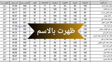 رابط نتيجة السادس الابتدائي المثني العراق 2024 pdf