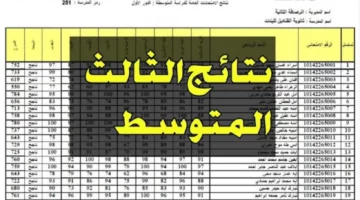 خطوات الاستعلام عن نتائج الثالث المتوسط بالعراق عبر الموقع الرسمي وزارة التعليم العراقية 2024
