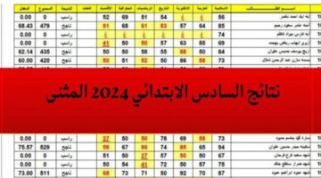 رابط الاستعلام على نتائج الصف السادس الابتدائي الدور الاول في العراق 2024 محافظة المثني
