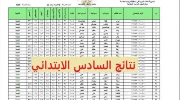 رابط رسمي .. هُنا نتيجة السادس الابتدائي بالعراق 2024 محافظة البصرة عبر نتائجنا