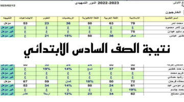 اعرف درجاتك.. نتيجة الصف السادس الابتدائي محافظة البصرة بالعراق 2024