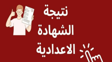 عاجل: ظهور نتيجة الشهادة الإعدادية 2024 محافظة الجيزة.. اضغط علي الرابط www.gizaedu.net