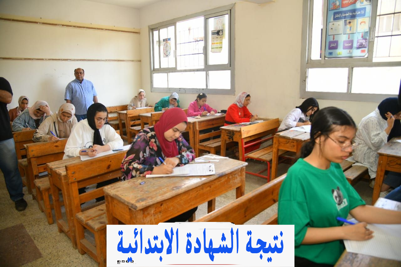بوابة التعليم الأساسي .. نتيجة الشهادة الابتدائية “سادسة ابتدائي” محافظة القاهرة 2024