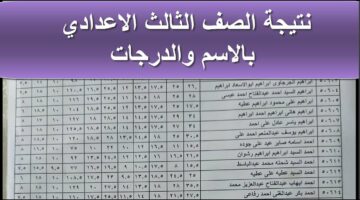 Alexandria Results Her.. رابط نتيجة الصف الثالث الإعدادي محافظة الإسكندرية 2024