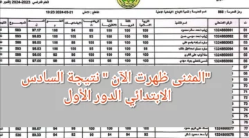 رسميًا: رابط ونتيجة الصف السادس الابتدائي محافظة المثنى 2024 وطريقة استخراج النتيجة بسرعة
