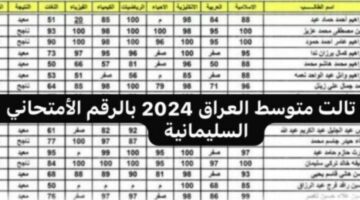 “احصل على نتيجتك الآن” نتيجة تالت متوسط العراق السليمانية 2024 بالرقم الأمتحاني