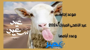 هنعيد يا مصريين.. موعد إجازة عيد الأضحى المبارك 2024 وعدد أيامها