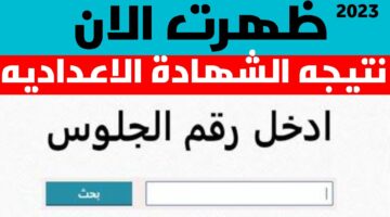 ظهرت الآن.. بوابة محافظة الشرقية sharkia.gov.eg نتيجة الشهادة الإعدادية ٢٠٢٤ ترم ثان بالإسم