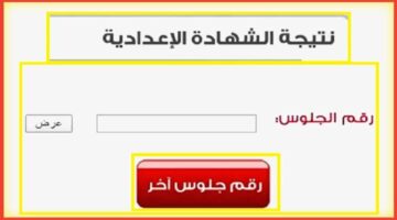 استعلم الآن.. نتيجة الشهادة الإعدادية محافظة الغربية اليوم السابع 2024 بالاسم gharbeia.gov.eg