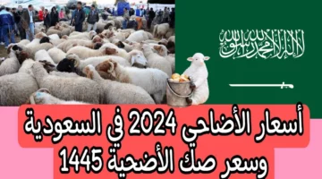 أفضل طريقة لشراء صك الأضاحي وأسعارها بجميع أنحاء المملكة العربية السعودية 2024-1445