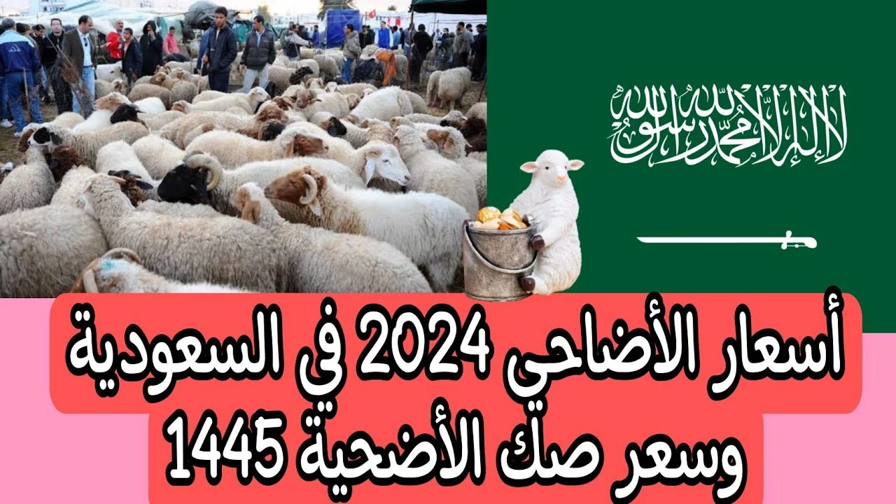 أفضل طريقة لشراء صك الأضاحي وأسعارها بجميع أنحاء المملكة العربية السعودية 2024-1445