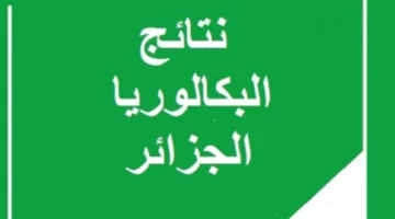 موعد الإعلان عن نتائج البكالوريا 2024 في جميع المناطق الجزائر.. رابط رسمي مفعل