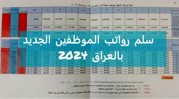 كام الزيادة!.. خطوات الاستعلام عن سلم رواتب الموظفين في العراق 2024 بعد الزيادة