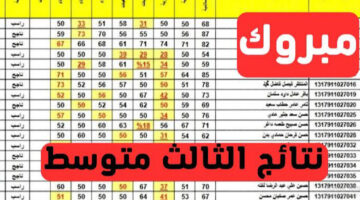 “ظهرت دلوقتي 💯”.. نتيجة الثالث متوسط العراق 2024 محافظة نينوى بالرقم الأمتحاني بالتفاصيل