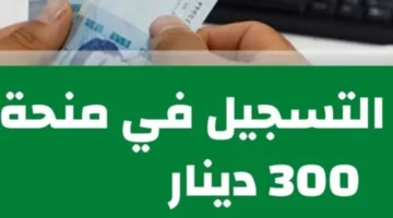 كيفية التسجيل في منحة 300 دينار 2024 في تونس والشروط المطلوبة