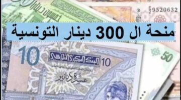 “الحق الفرصة” شروط التسجيل في منحة 300 دينار تونس 2024