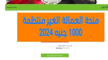 “وزارة القوى العاملة” في مصر توضح أهم الشروط للتقديم في منحة العمالة الغير منتظمة 2024