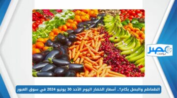الطماطم والبصل بكام؟.. أسعار الخضار اليوم الأحد 30 يونيو 2024 في سوق العبور